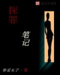 探罪笔记章节列表