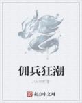 佣兵狂潮章节列表