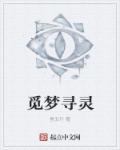 觅梦寻灵章节列表