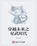 穿越未来之星武时代章节列表