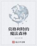 莫格利特的魔法森林章节列表