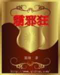 霸邪狂章节列表