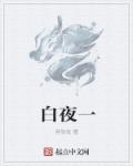 白夜一章节列表