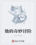 他的奇妙冒险章节列表