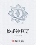 妙手神算子章节列表