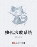 独孤求败系统章节列表