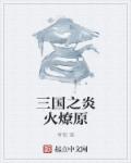三国之炎火燎原章节列表