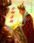 金蝉菩提章节列表