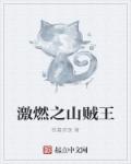 激燃之山贼王章节列表