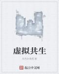 光暗共生章节列表