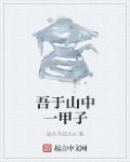 吾于山中一甲子章节列表