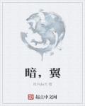 暗，翼章节列表