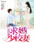 独家宠妻之军妻别走章节列表