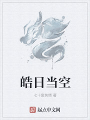 皓日当空章节列表