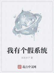 我有个假系统章节列表