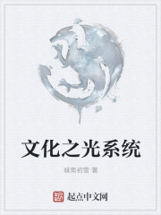 文化之光系统章节列表