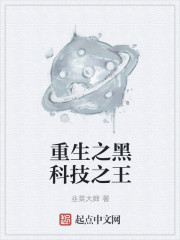 重生之黑科技之王章节列表