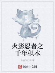 火影忍者之千年积木章节列表