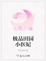 极品田园小医妃章节列表