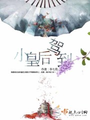 小皇后驾到章节列表