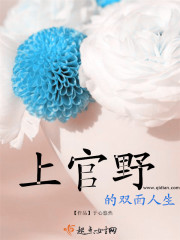 上官野的双面人生章节列表