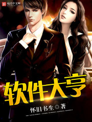 互联网大佬章节列表