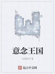 意念王国章节列表