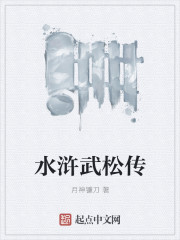 水浒武松传章节列表