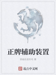 正牌辅助装置章节列表