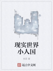 现实世界小人国章节列表