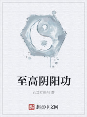 至高阴阳功章节列表