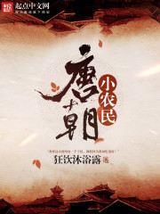 唐朝小农民章节列表
