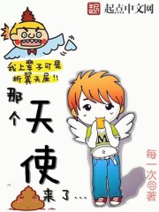 那个天使来了章节列表