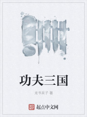 功夫三国章节列表