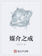 媒介之戒章节列表