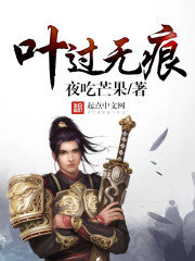 叶过无痕章节列表