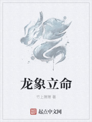 龙象立命章节列表