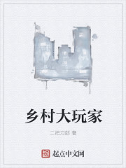 乡村大玩家章节列表
