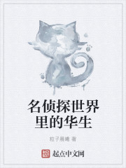 名侦探世界里的华生章节列表