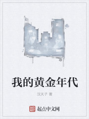 我的黄金年代章节列表