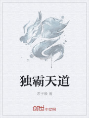 独霸天道章节列表