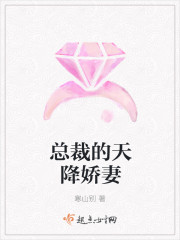 总裁的天降娇妻章节列表