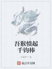 吾猴愤起千钧棒章节列表