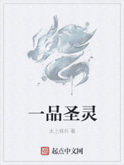 一品圣灵章节列表