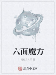 六面魔方章节列表