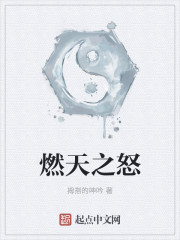 燃天之怒章节列表