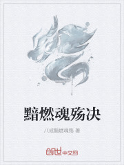 黯燃魂殇决章节列表