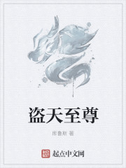 盗天至尊章节列表