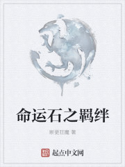 命运石之羁绊章节列表