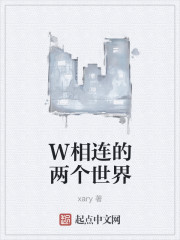 W相连的两个世界章节列表